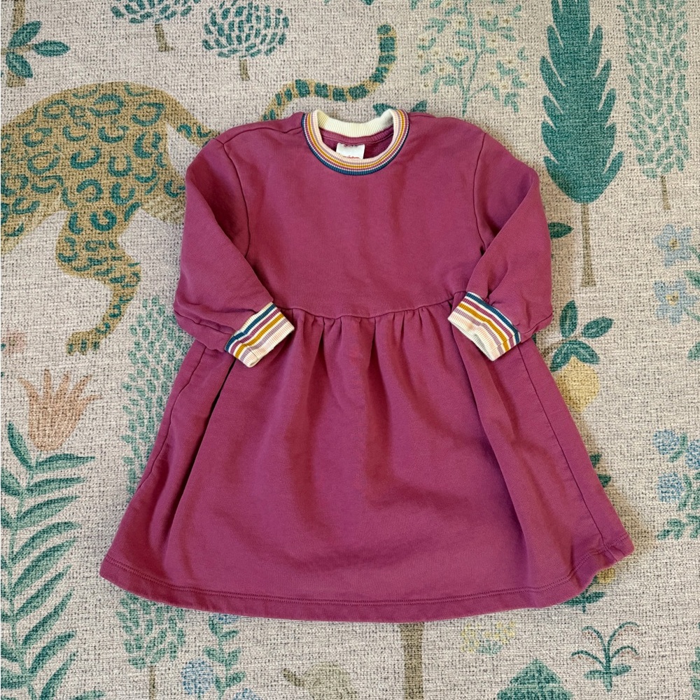 Hanna  purple sweatshirt dress, size 3